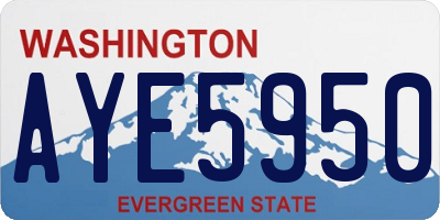 WA license plate AYE5950