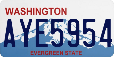 WA license plate AYE5954