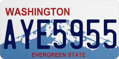 WA license plate AYE5955