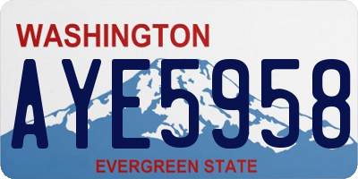 WA license plate AYE5958