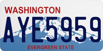 WA license plate AYE5959