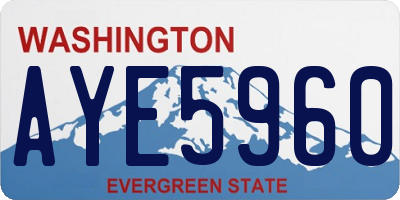 WA license plate AYE5960