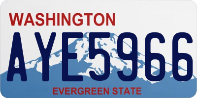 WA license plate AYE5966