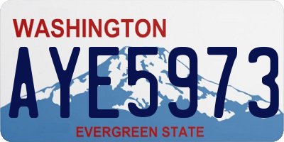 WA license plate AYE5973