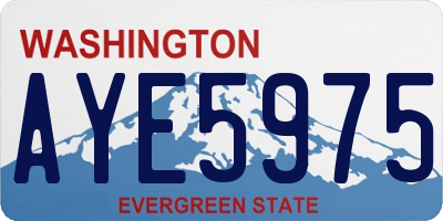 WA license plate AYE5975