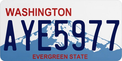 WA license plate AYE5977