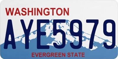 WA license plate AYE5979