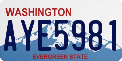 WA license plate AYE5981