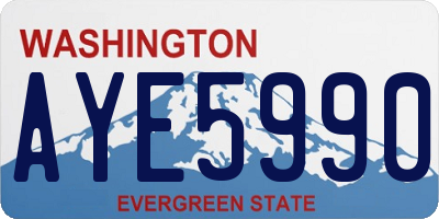 WA license plate AYE5990