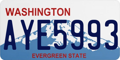 WA license plate AYE5993