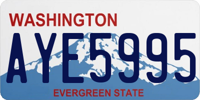 WA license plate AYE5995