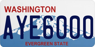 WA license plate AYE6000