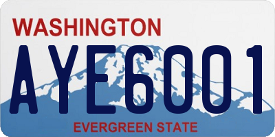 WA license plate AYE6001