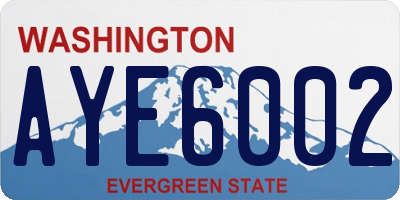 WA license plate AYE6002