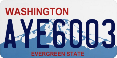 WA license plate AYE6003
