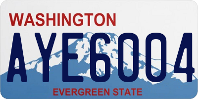 WA license plate AYE6004