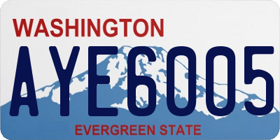 WA license plate AYE6005