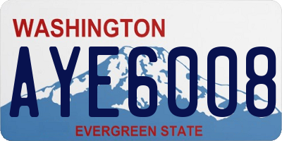 WA license plate AYE6008