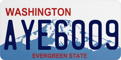 WA license plate AYE6009