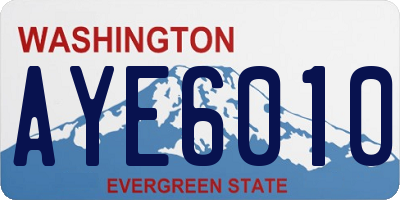 WA license plate AYE6010