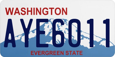 WA license plate AYE6011