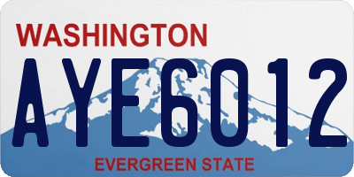 WA license plate AYE6012