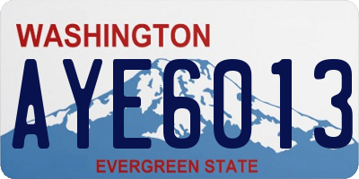 WA license plate AYE6013