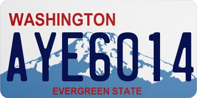 WA license plate AYE6014