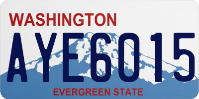 WA license plate AYE6015