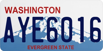 WA license plate AYE6016