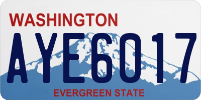 WA license plate AYE6017