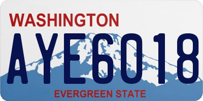 WA license plate AYE6018