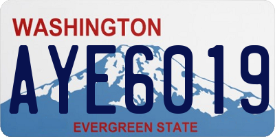 WA license plate AYE6019