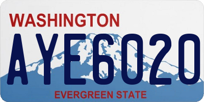 WA license plate AYE6020