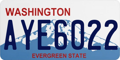 WA license plate AYE6022