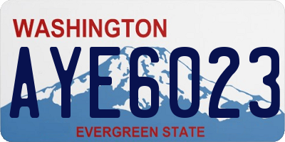 WA license plate AYE6023