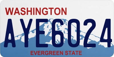 WA license plate AYE6024