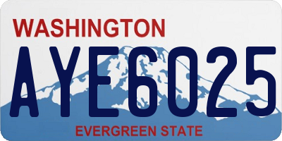 WA license plate AYE6025