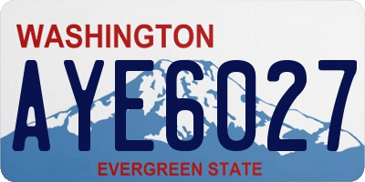 WA license plate AYE6027