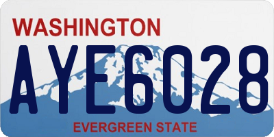 WA license plate AYE6028