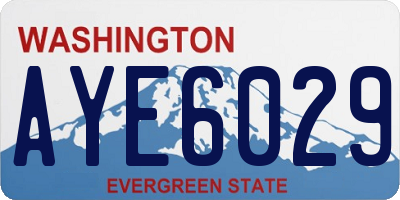 WA license plate AYE6029