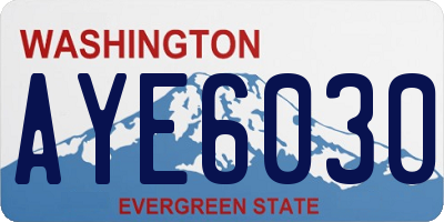 WA license plate AYE6030