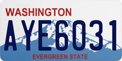 WA license plate AYE6031