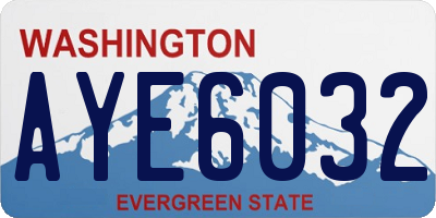 WA license plate AYE6032