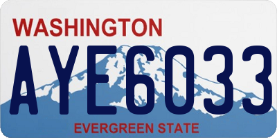 WA license plate AYE6033