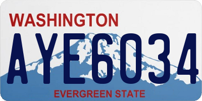 WA license plate AYE6034