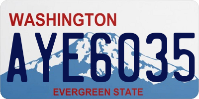 WA license plate AYE6035