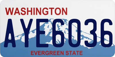 WA license plate AYE6036