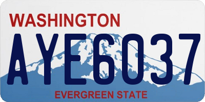 WA license plate AYE6037