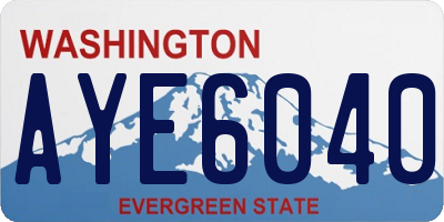 WA license plate AYE6040